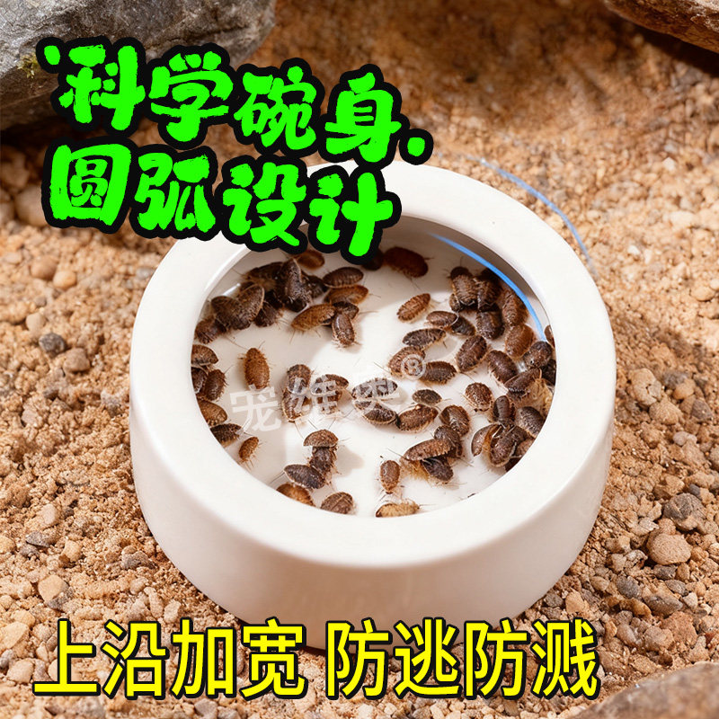酷克爬虫守宫蜥蜴陶瓷食盆防逃爬宠鬃狮蜘蛛饲养箱活虫杜比亚食碗,淘宝优惠券,粉丝福利购,淘宝优惠卷
