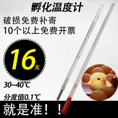 高精密红水水银孵化温度计育雏孵化摸鸡鸭鹅蛋热水30-40度包邮0.1 - 图1