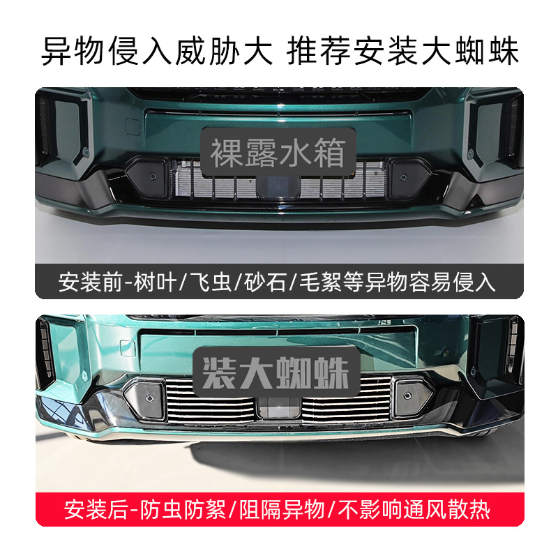 岚图free前脸中网外观改装件free+专用防虫网装饰条汽车用品配件 - 图0