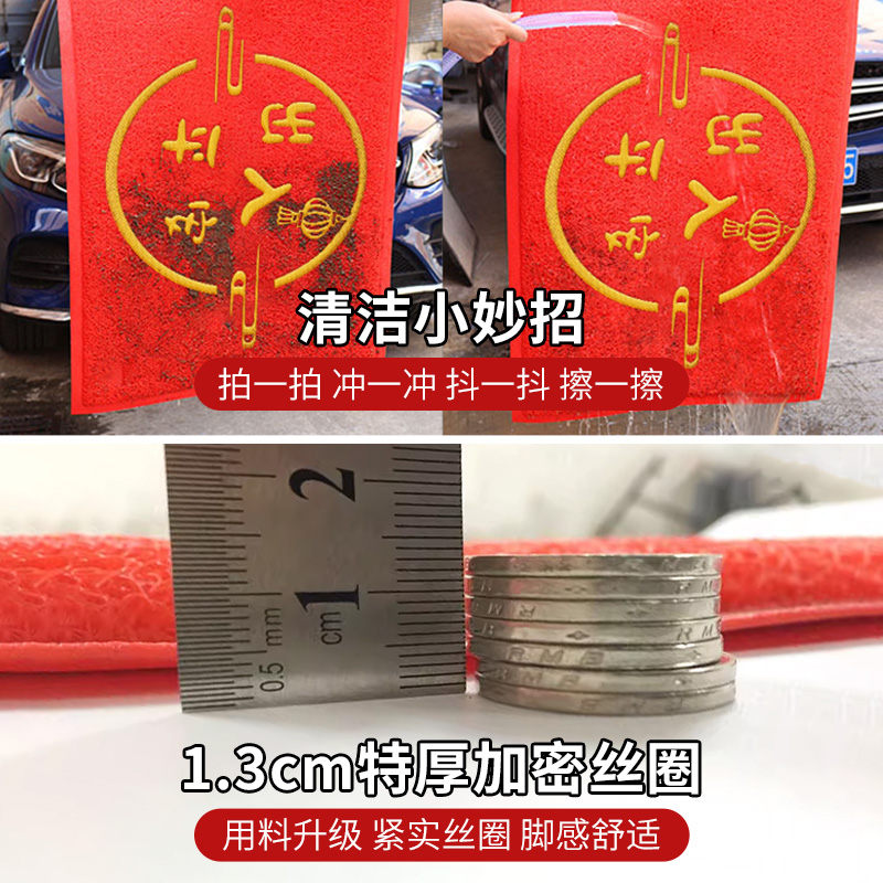 地垫入户门门垫进门家用门口脚垫丝圈门外出入平安门前垫地毯垫子 - 图3