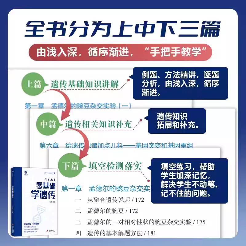 汉水丑生高中生物基础知识2024回归课本填空零基础学遗传汗水丑生高中生物高一二三高考生物一轮复习育甲教辅资料知识清单手册大全-图2