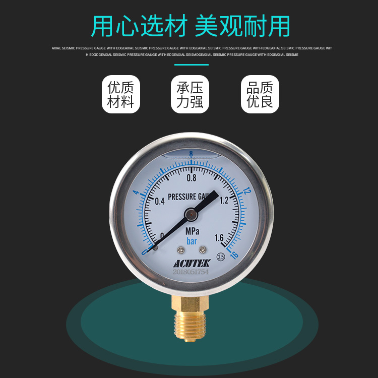 ACUTEK耐震压力表YN60 1.6mpa M14*1.5油压 液压 抗震 防震压力表 - 图0