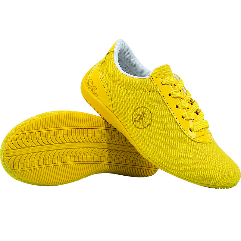 新款儿童武术鞋男童夏季帆布软底练功鞋武术训练专用鞋男女太极鞋,淘宝优惠券,粉丝福利购,淘宝优惠卷