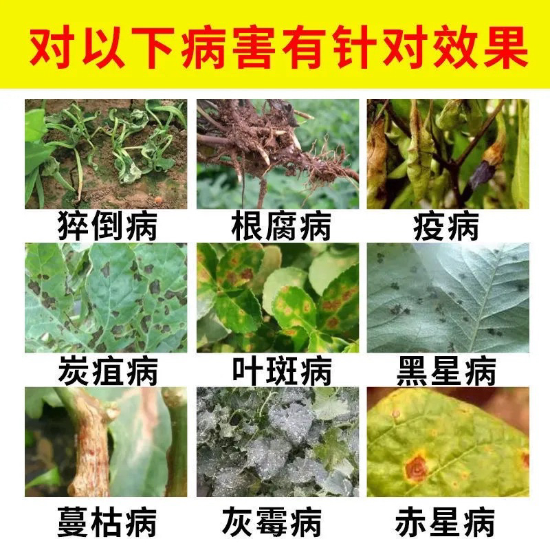 好美特真菌净长枝木霉农用杀菌剂通用型果树蔬菜疫病叶斑根腐炭疽 - 图1