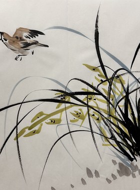墨香村精品装饰国画花鸟画字画纯手绘三尺斗方兰花MV80102131-154