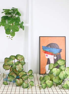 仿真绿植客厅背景墙挂墙壁挂植物装饰垂吊假花摆件室内吊兰吊篮白