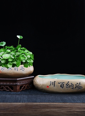 仿石头花盆菖蒲小盆景铜钱草专用水培水仙陶瓷特价清仓睡莲碗莲荷