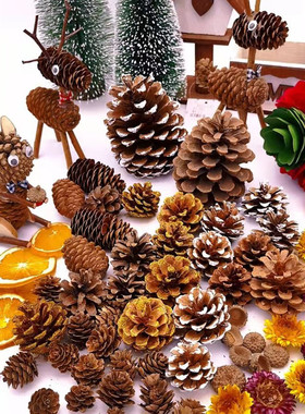 松果装饰品摆件松塔野生DIY手工材料干花环创幼儿园森林干树枝大