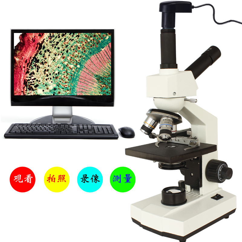 专业光学生物电子高清双目显微镜水产养殖藻类农业宠物医院真菌-图1