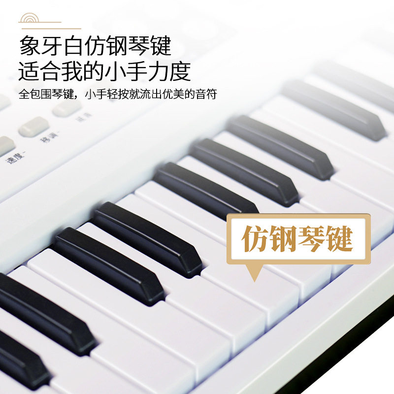 费雪儿童初学家用钢琴玩具可电子琴 北京懿泰扬达母婴电子琴玩具/儿童电子琴