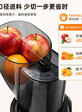 商用全自动汁渣分离原汁机