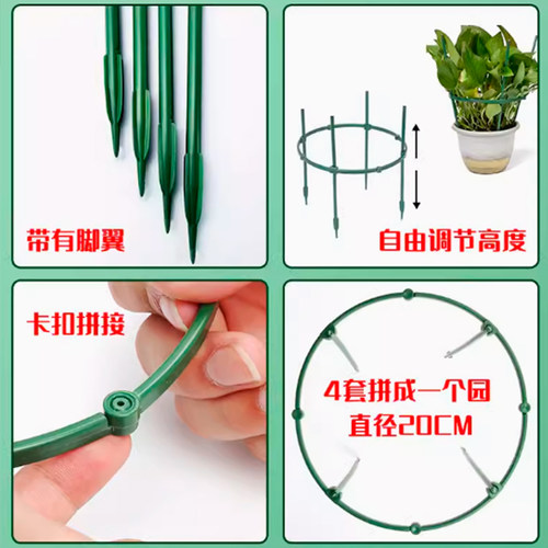 植物支撑杆园艺支架花架爬藤支架室内绿萝阳台户外蟹爪兰固定支架 - 图1