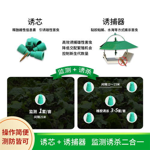 中捷四方小菜蛾信息素诱芯昆虫性诱剂引诱农用除虫蔬菜杀虫剂 - 图0