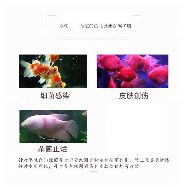 黄粉鱼药水族鱼用烂尾蒙眼杀菌消毒立鳞水霉病白点白毛治疗菌腮 - 图0