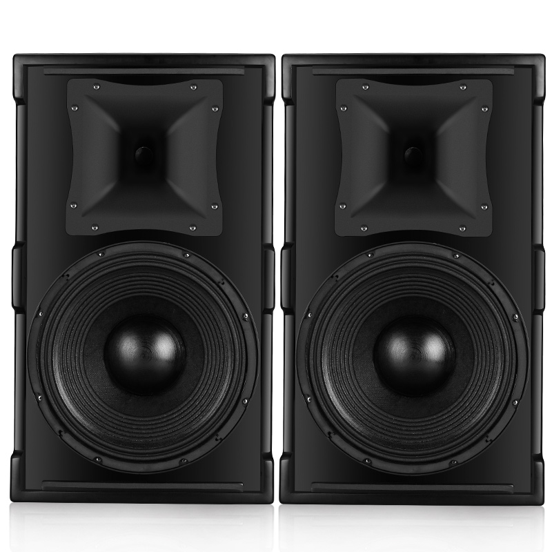 12-inch horn karaoke speaker Yacare wood color