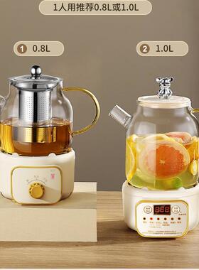 全玻璃养生壶2025新款煮茶壶花茶