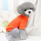 Весна и осень притворяются собачьи одежды Пеп Тедди Берби красота маленькие щенки кошка тепло теплые ноги и скважины кл.