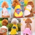Giải phóng mặt bằng quần áo thú cưng quần áo chó mèo Teddy Golden Retriever chó con quần áo thú cưng mèo quần áo chó - Quần áo & phụ kiện thú cưng áo poodle Quần áo & phụ kiện thú cưng