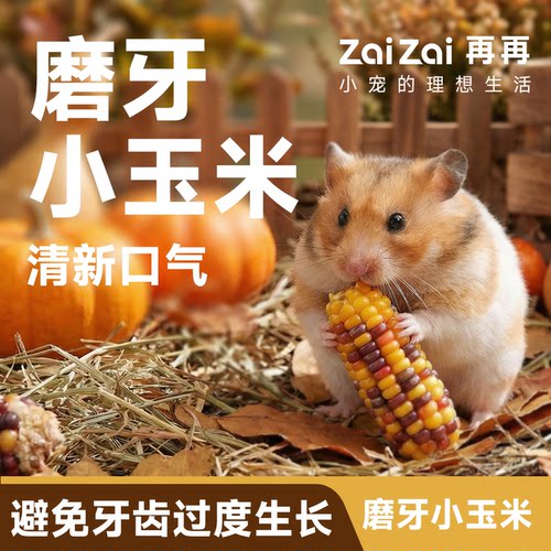 再再仓鼠零食小玉米磨牙棒粮食面包虫金丝熊花枝造景生活用品玩具 - 图3