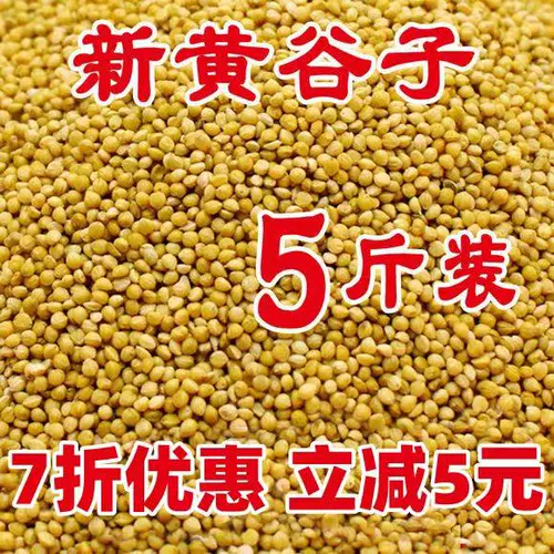 Новое желто -зерно с раковиной просо тигр кора пион черный феникс Маленький и средний.