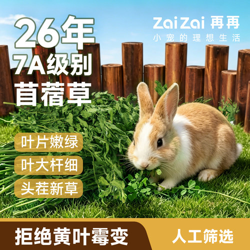 再再苜蓿草26年新头茬烘干幼兔子专用干草小麦草荷兰猪豚鼠粮食物 - 图0