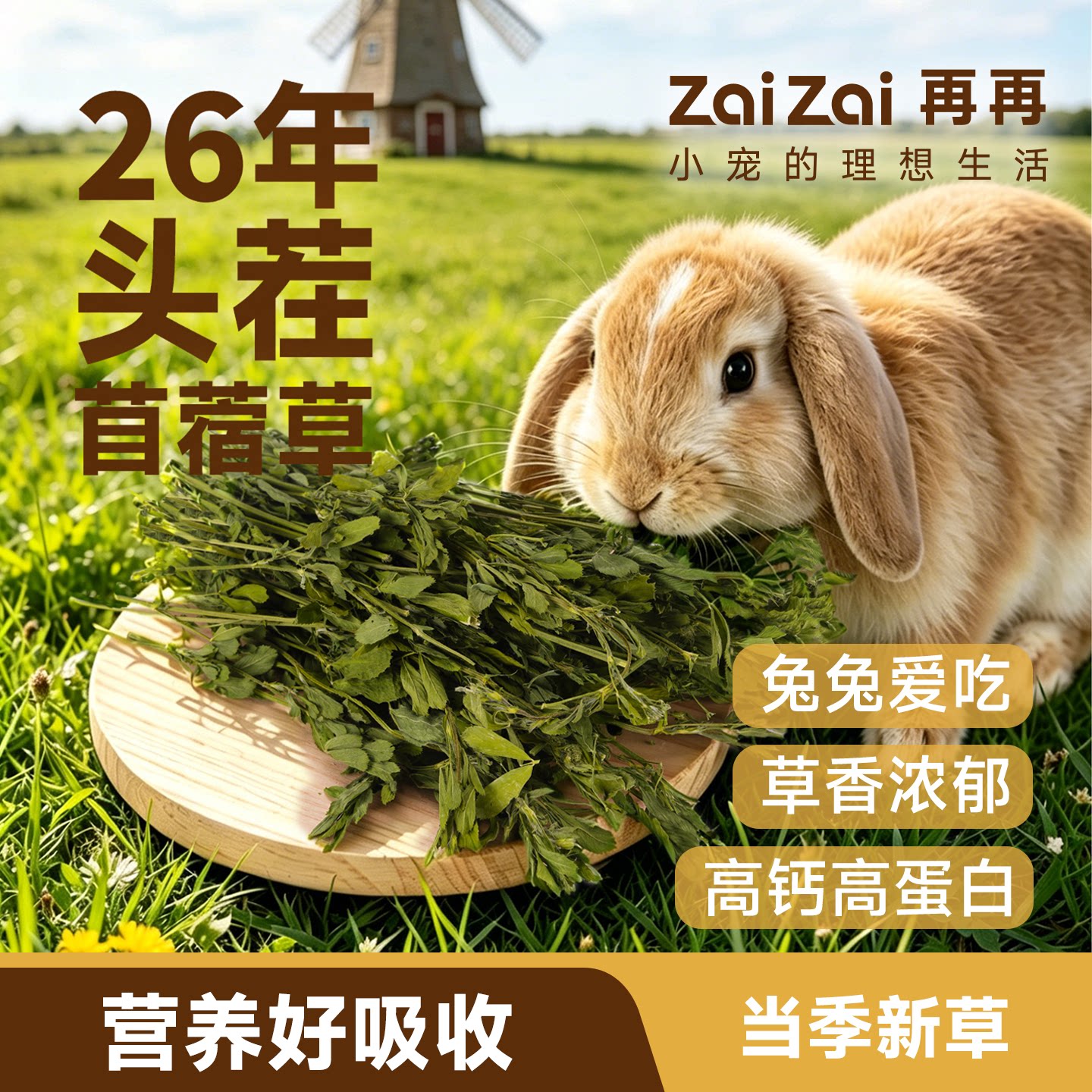 再再26年新苜蓿草幼兔专用干草兔子小麦草荷兰猪豚鼠粮食物饲料 - 图0