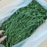 再再 Люцерна трава молодые кроличьи кроличье зерно для фиолетового цветочного пищи