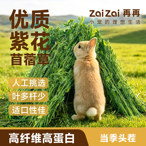 再再苜蓿草26年新头茬烘干幼兔子专用干草小麦草荷兰猪豚鼠粮食物 - 图2