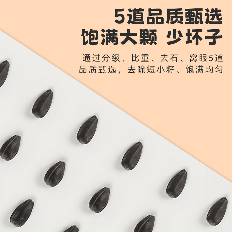 再再仓鼠粮食油葵黑瓜子小金丝熊零食营养饲料磨牙食物专用品大全,淘宝优惠券,粉丝福利购,淘宝优惠卷