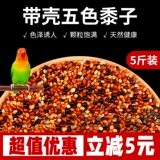 再再 Кора тигра пион черный феникс Маленький и средний попугайный зерно кормление зерна Пятицвета Песоцветный просо Смешанный просо Смешанный зерно