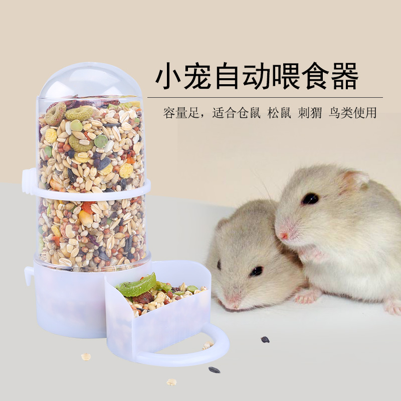 仓鼠自动喂食器蜜袋鼬食盆松鼠刺猬的粮食小碗花枝鼠专用品大容量 - 图2