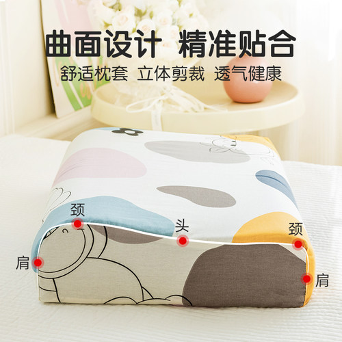 2025新款纯棉乳胶枕套一对装100全棉40x60单个儿童小枕头套30x50 - 图0
