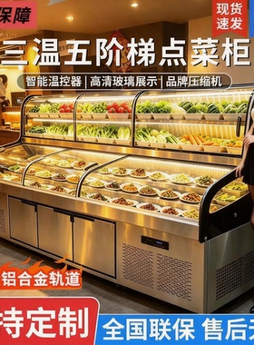 志高三温五六阶梯海鲜冰台展示柜烧烤炸串冷藏冷冻饭店明档点菜柜