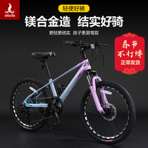 Shanghai Phoenix Childrens Car Mountain Bike Magnesium Alloy Student Male And Female Classmates Light Kid Variable Speed Bike