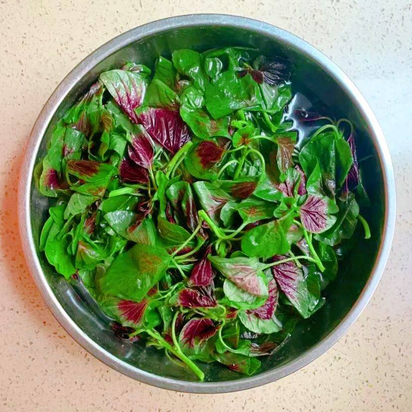 顺丰包邮红苋菜 新鲜蔬菜苏北农家自种 红旱菜露天蔬菜现摘带根汉