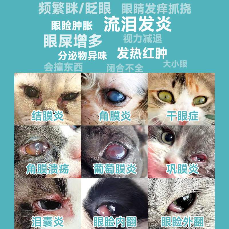 猫咪眼药水宠物版眼睛发炎流泪狗狗去泪痕眼屎多硫酸新霉素滴眼液