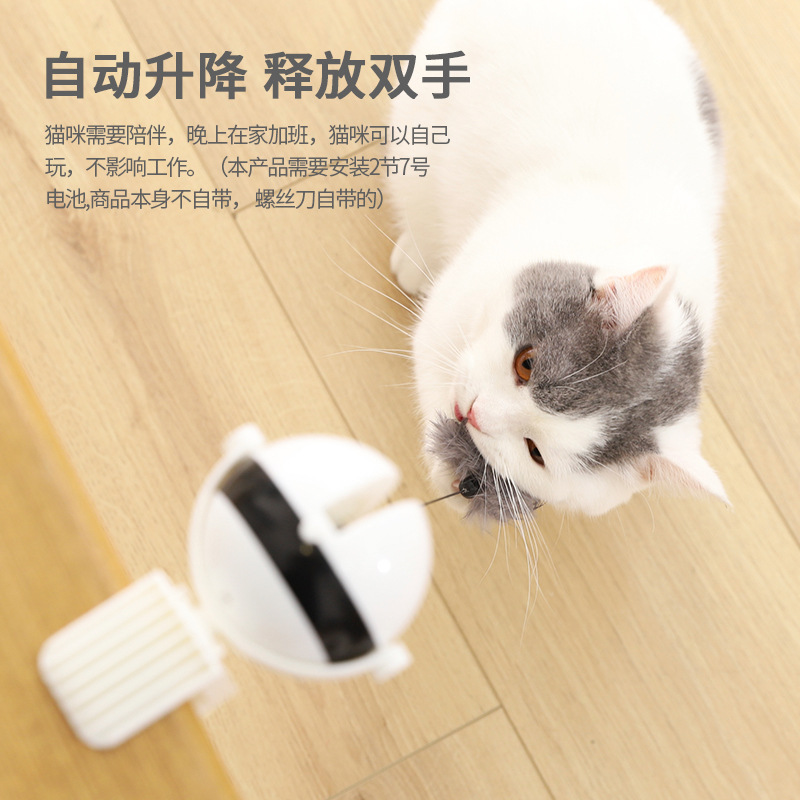 猫猫磨牙球小猫玩具猫玩具球自嗨逗猫棒电动自动逗猫球升降球猫咪-图1