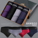 Langsha Men's Underwear Men's Briefs Trendy Bamboo Fiber Briefs
