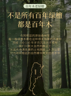 【情绪稳定】黑曜石绿檀木手串