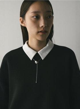 STYLEMIXER小众不规则滑动项链