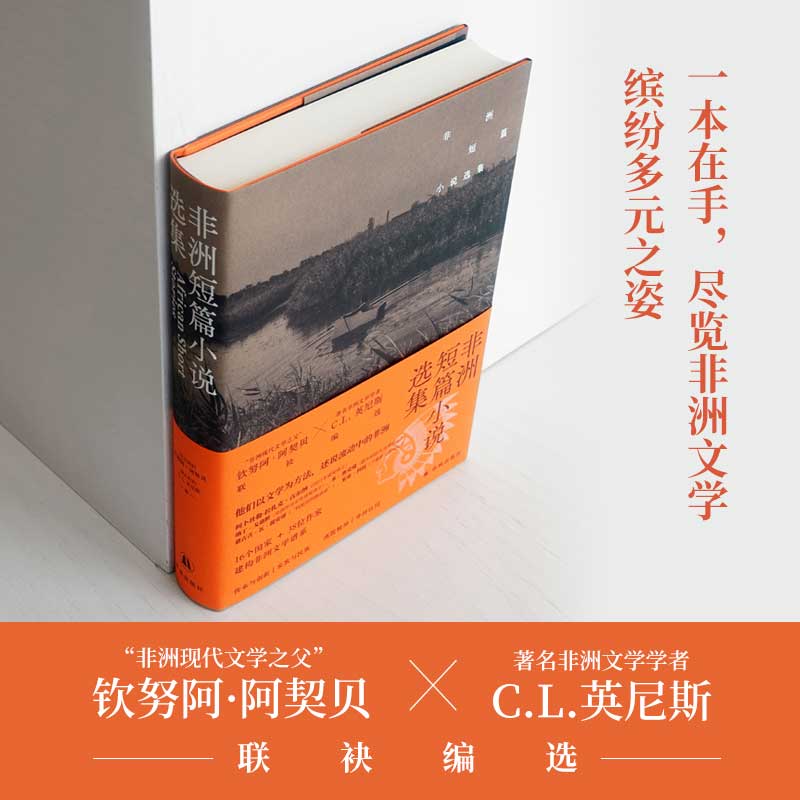 非洲短篇小说选集非洲现代文学之钦努阿·阿契贝16个国家38位作家绘制非洲文学地图外国小说高分畅销作品正版书籍译林出版社直发-图2