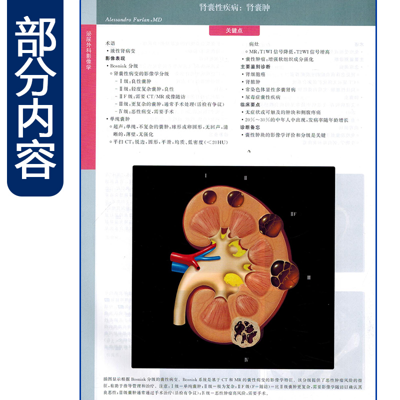 正版 泌尿外科影像学IMAGING IN UROLOGY 主审 夏术阶 河南科学技术出版社9787572504198 - 图3