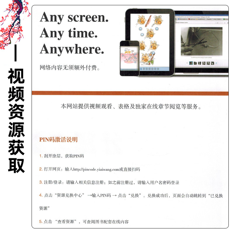 任选 牙髓之路第11版 侯晓玫 根管治疗图谱正畸书籍拔牙技巧 根管治疗书籍口腔种植书籍 口腔医学书籍牙科书籍 辽宁科学技术出版社