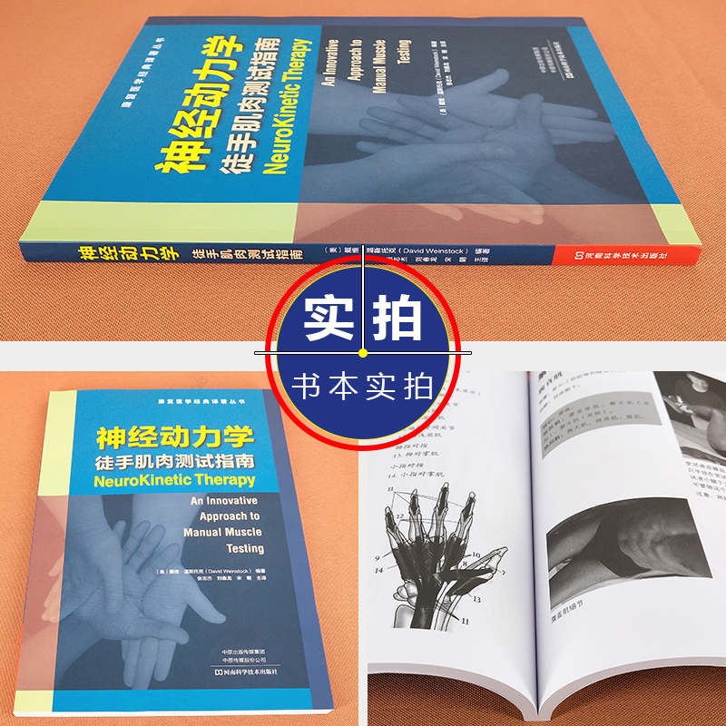 正版神经动力学徒手肌肉测试指南康复医学经典译著丛书主译张志杰刘春龙宋朝河南科学技术出版社9787572500466-图0