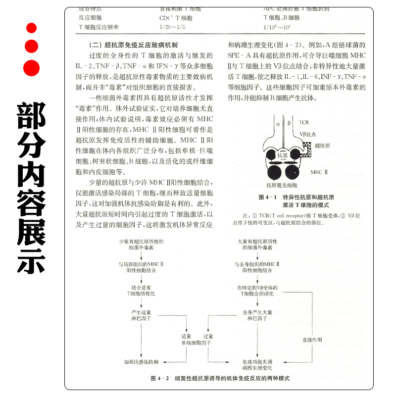 感染病学上下二册第二2版李兰娟黄祖瑚主编江苏科学技术出版社9787571303754-图2