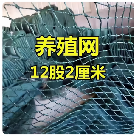 养殖网养鸡网尼龙网拦鸡网围鸡网家禽塑料网护栏网菜园围网防护网 - 图1