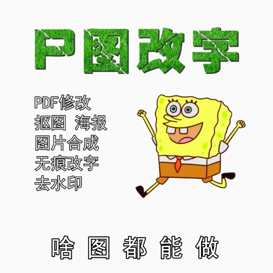 P图片处理专业PS修图PDF无痕修改数字去水印抠图做图证件照片制作-图1