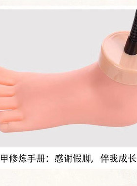 初学者支架模型硅胶美甲