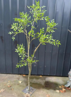 仿真树南天竹装饰造景橱窗软装
