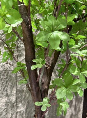 仿真绿植假树吊钟室内装饰造景树